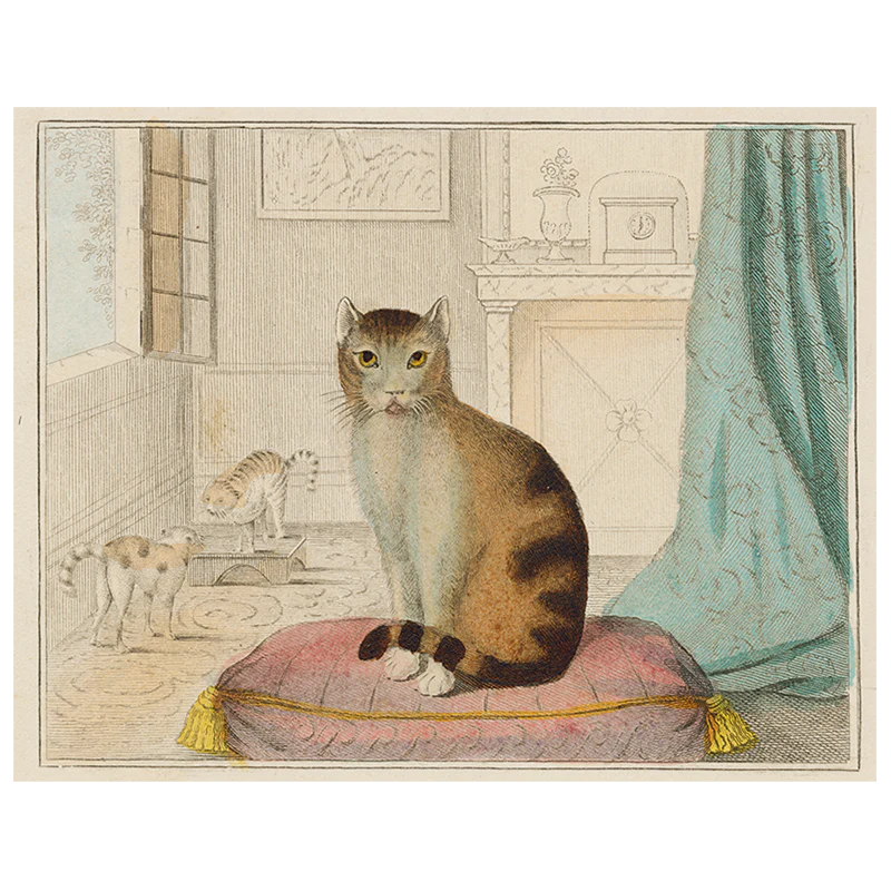 Calm Cat (p 69)