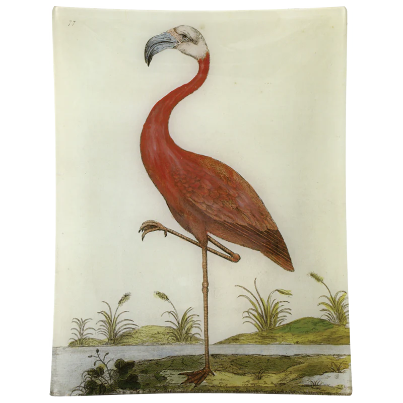 #13 - Flamingo
