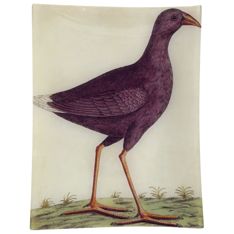 #18 - Purple Bird