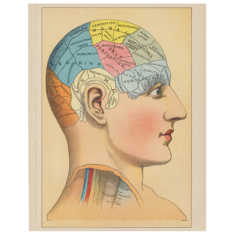 Phrenology 2 (p 174)