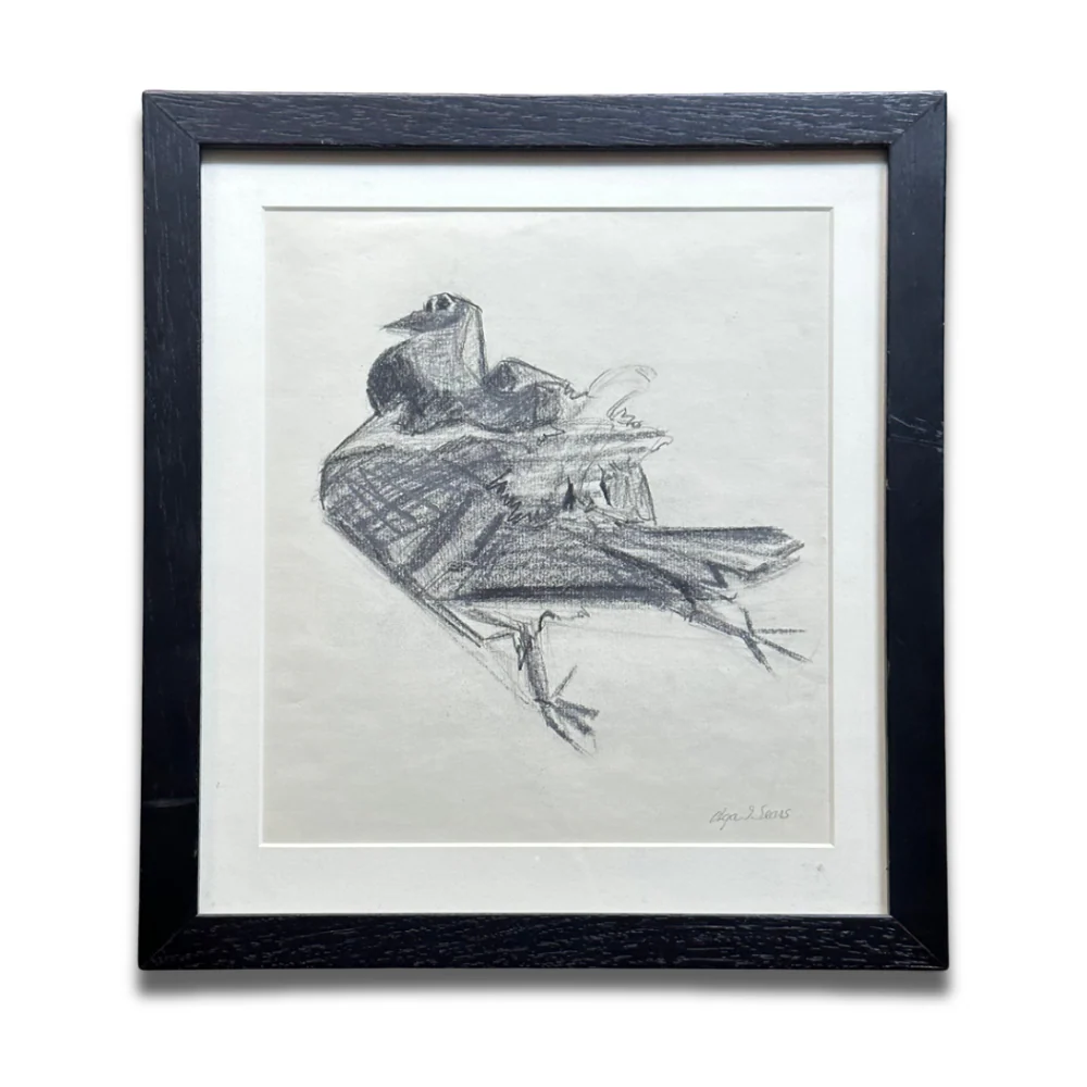 20th-century USA Bird Drawing by Olga Sears