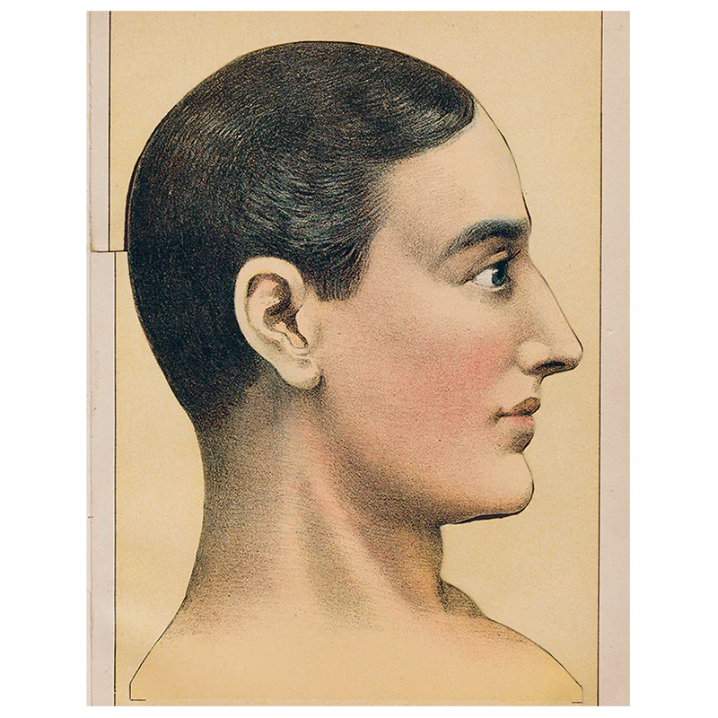 Picture of Perfect Health (p 232)