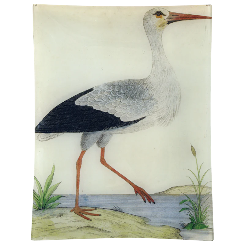 #25 - Stork