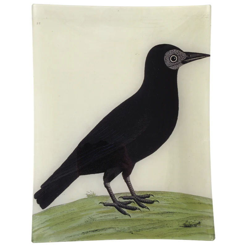 #28 - Rook