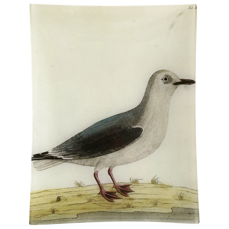 #32 - White Gull