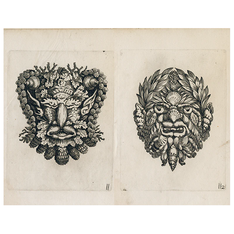 Shell Portraits (p 311)