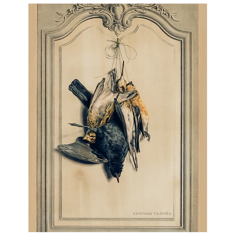 Game Birds: Dark (p 332)