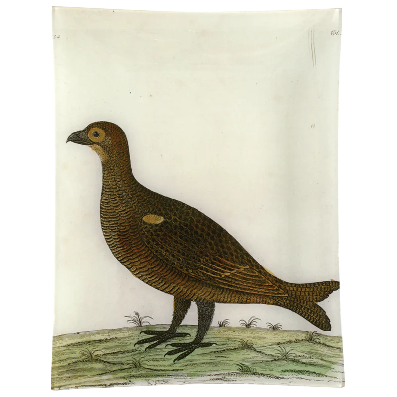 #4 - Game Hen