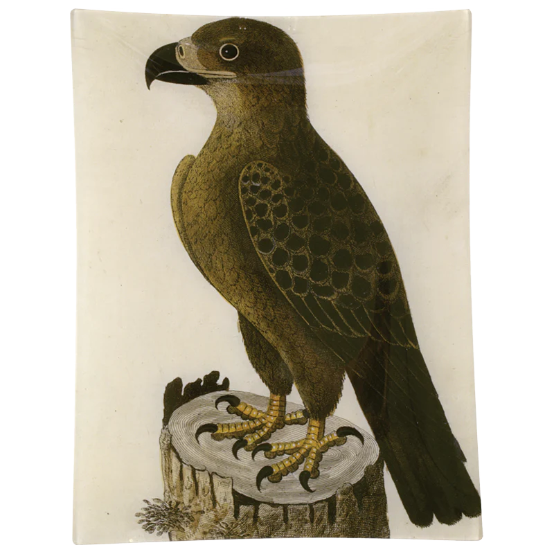 #40 - Golden Eagle