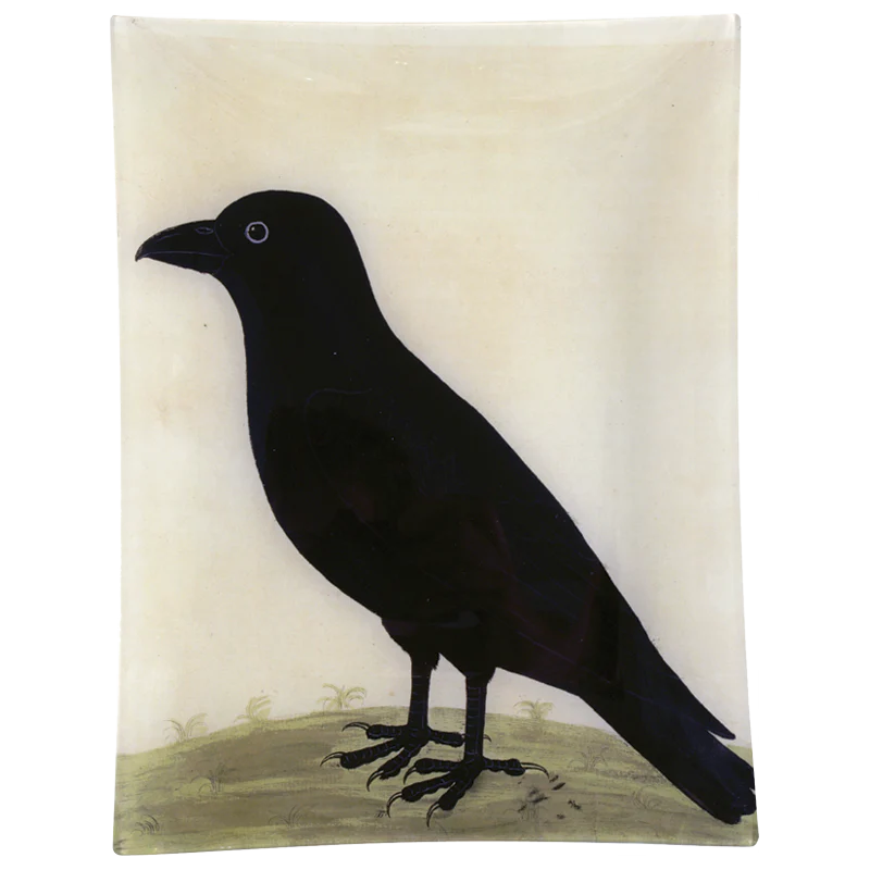 #43 - Raven (Left)