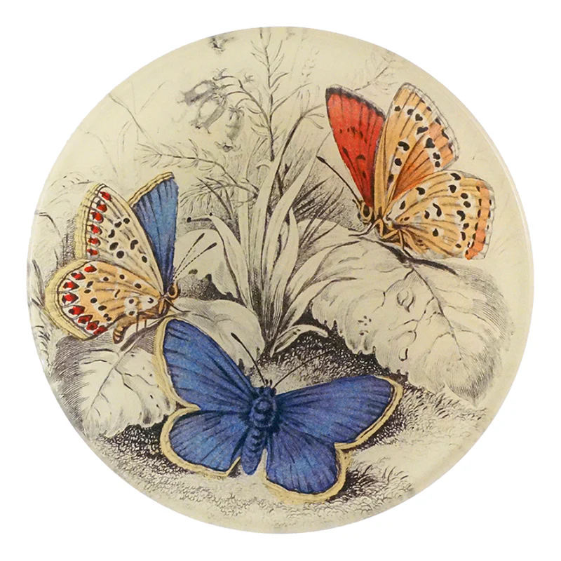 Copper & Common (Blue Butterflies (Entomology))