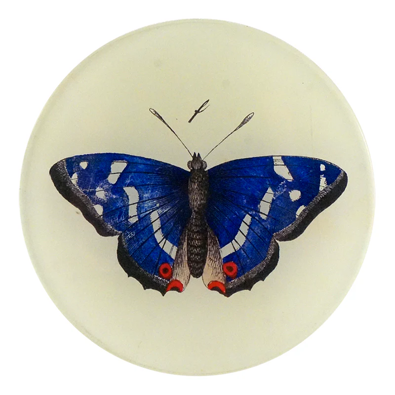 Deep Blue Butterfly