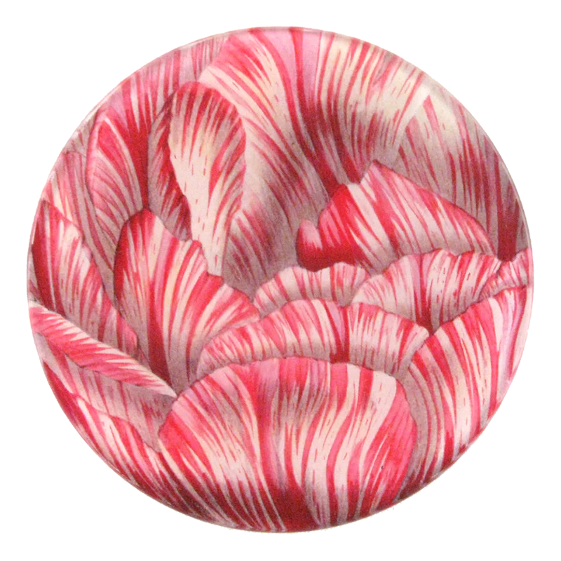 Double Tulip