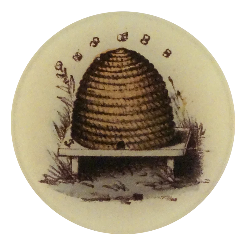 Hive