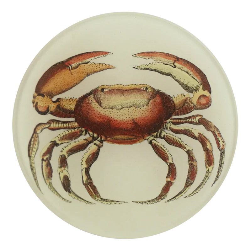 Oval Crab