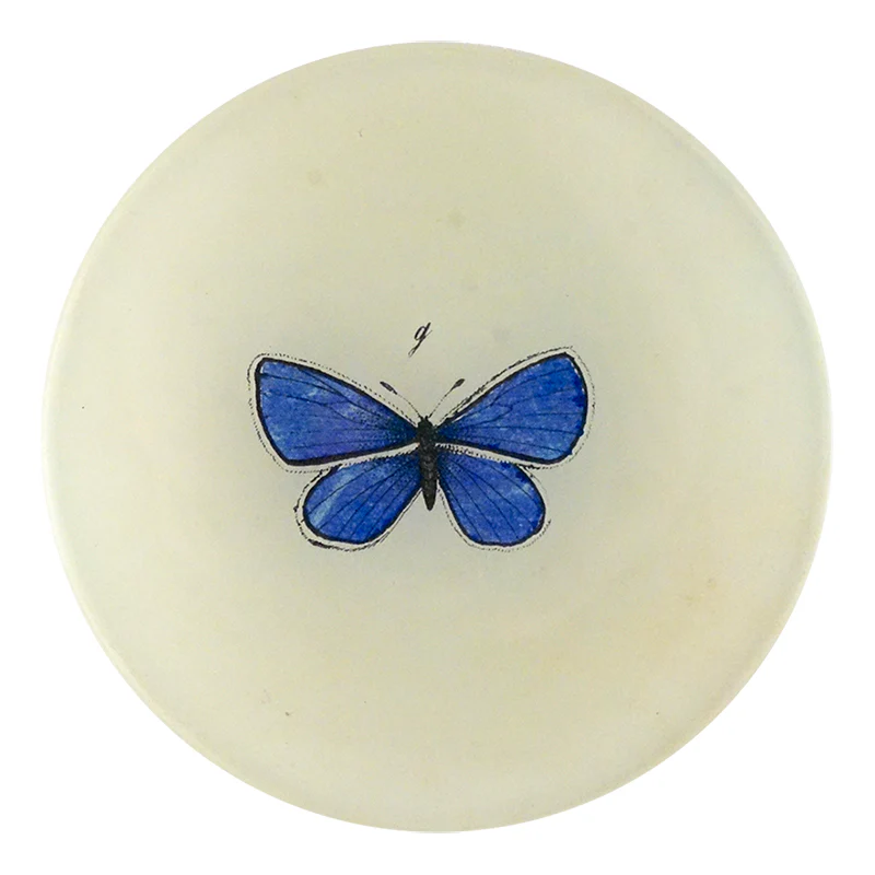 Petit Blue Butterfly