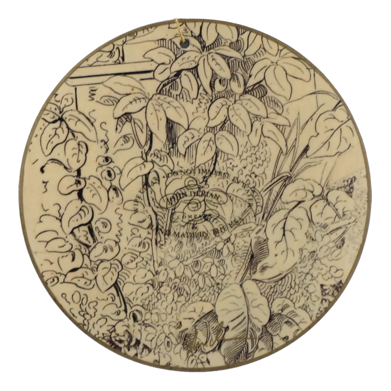 Eye (Left) - Image 2