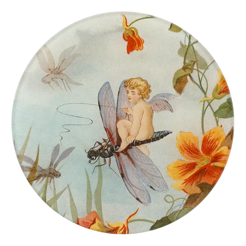 Fairy Dragonfly