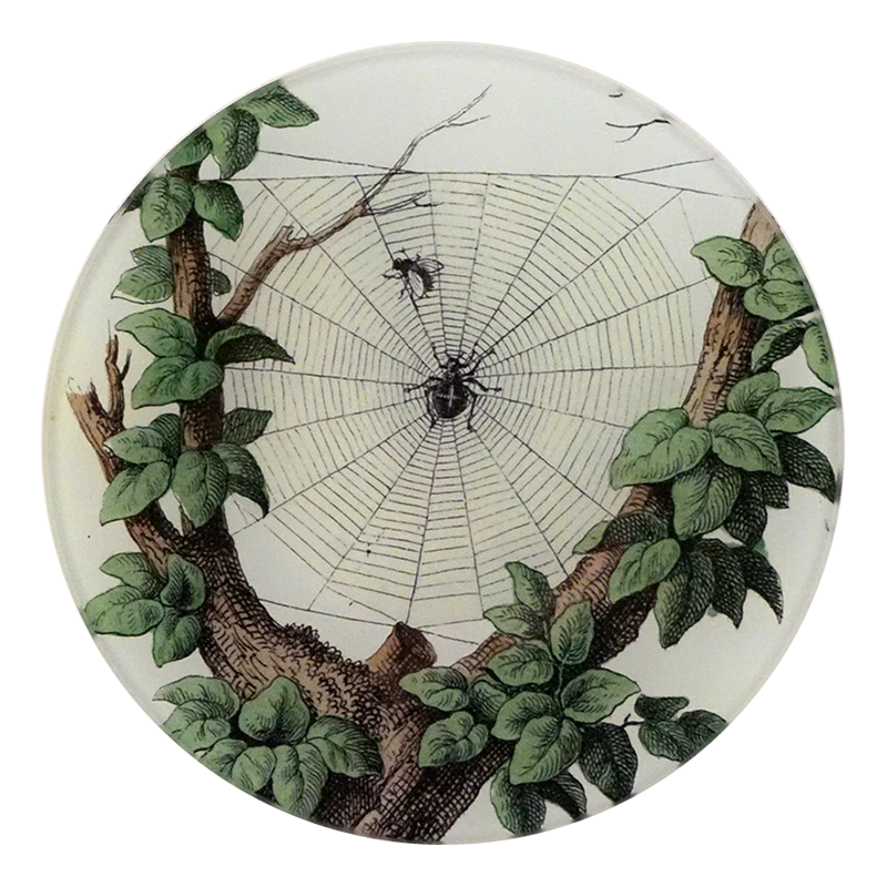 Leafy Web