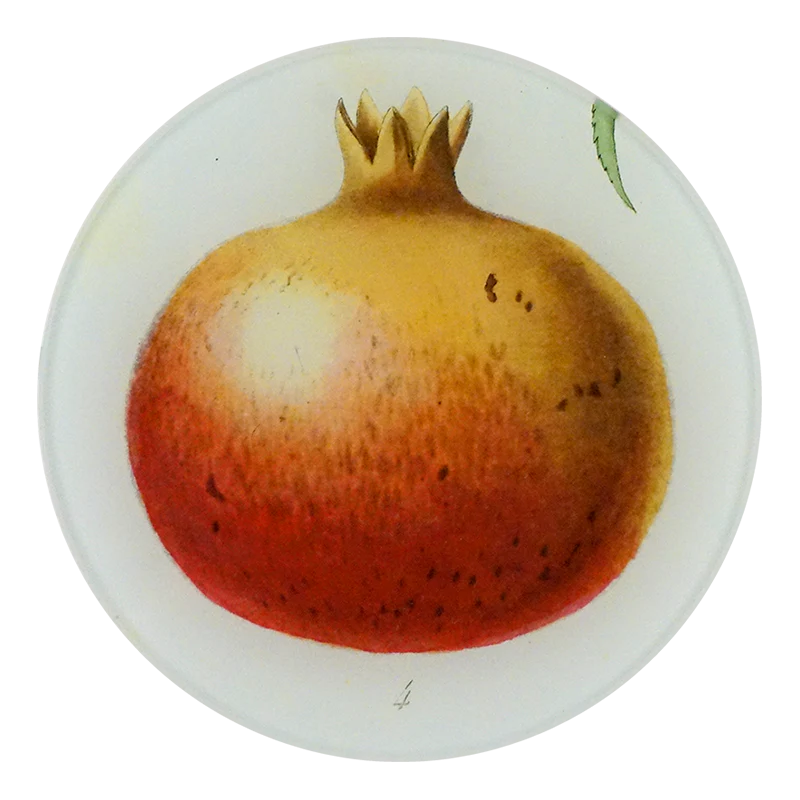 Pomegranate 4