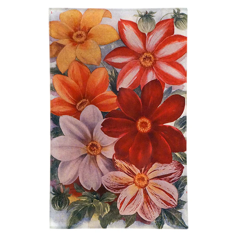 Clematis