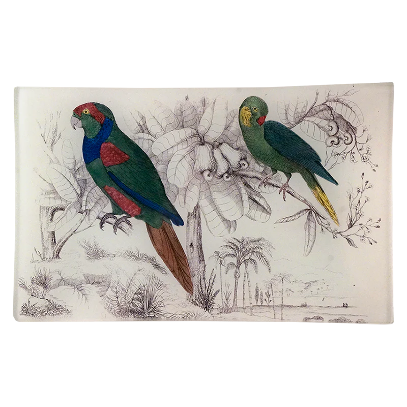 Two Parakeets