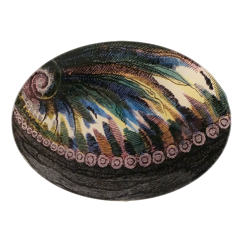 Abalone