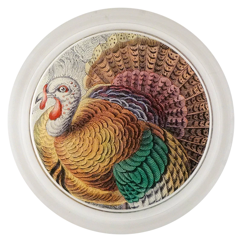 American Wild Turkey