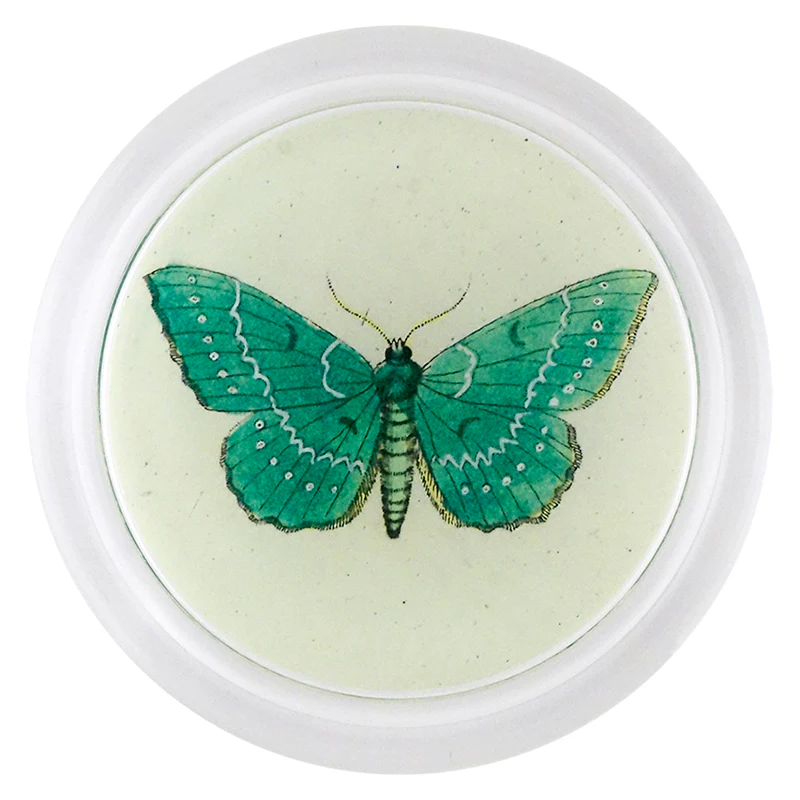 Papilionaria (Butterfly)