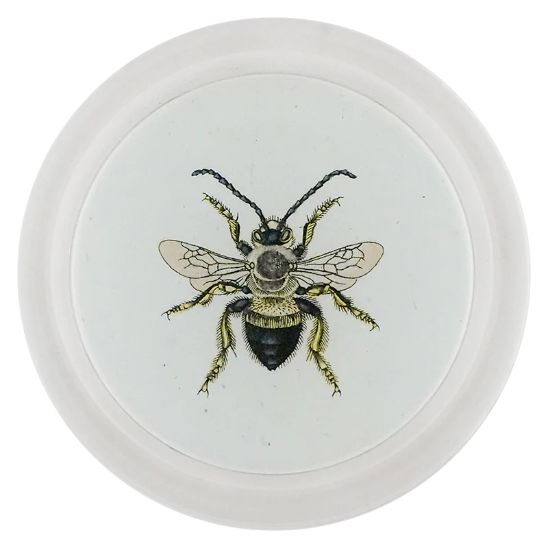 Red Mason Bee (Bees & Wasps)