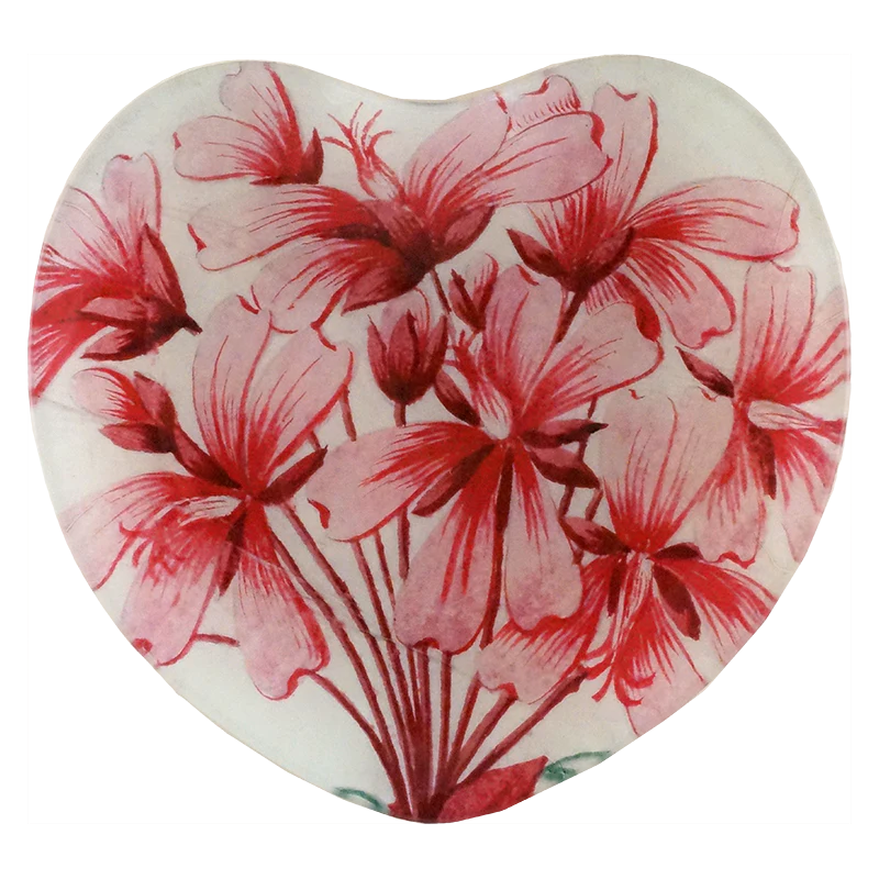 Geranium Zonale