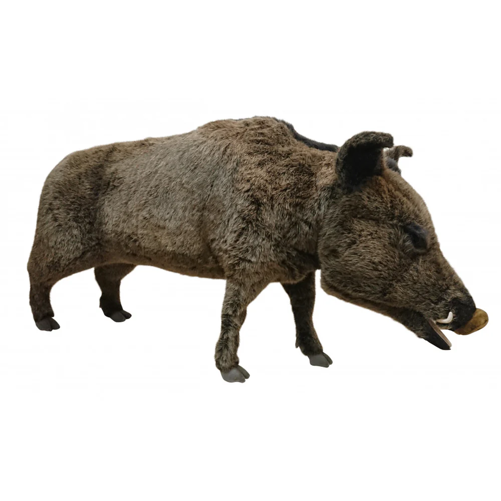 Animated Boar