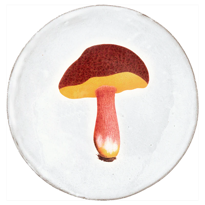 Bolet Chrysentere Plate