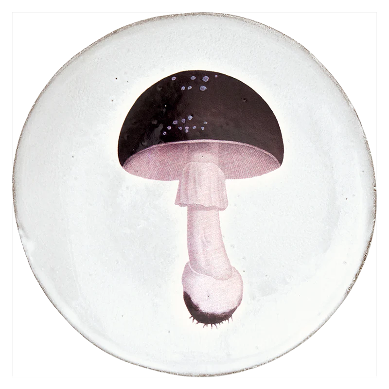 Agaric Fuligineux Plate