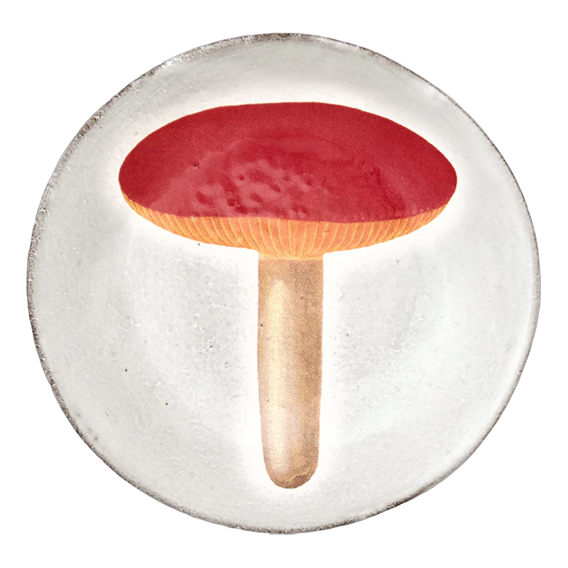 Agaric Alutace Plate