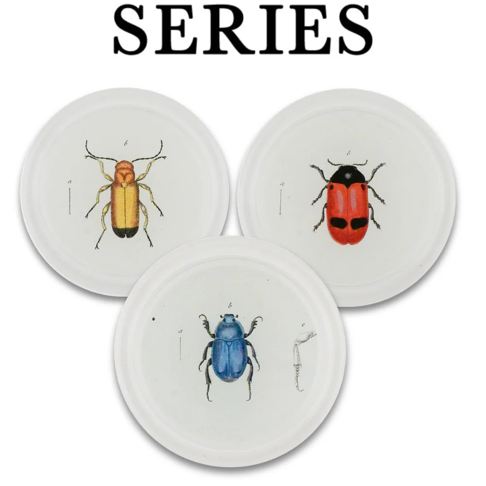 Beetles