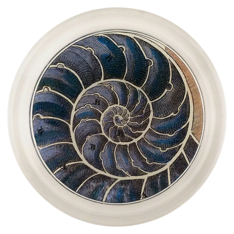 Blue Nautilus