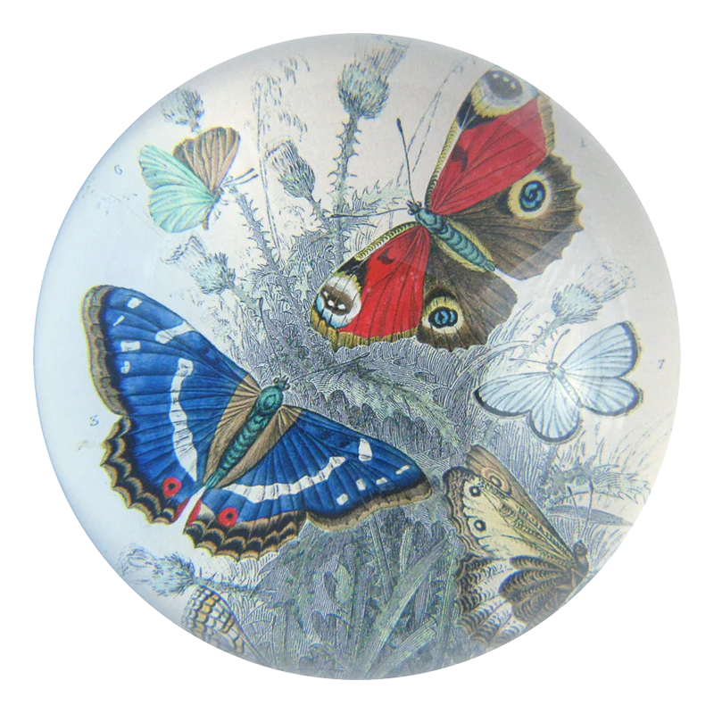 Butterflies