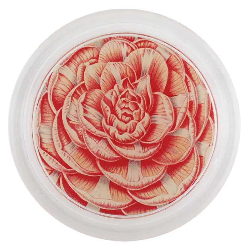 Camellia General Lafayette