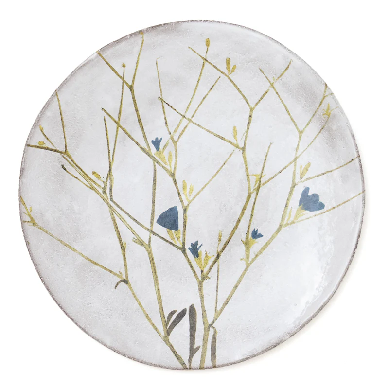 Cichorium Plate