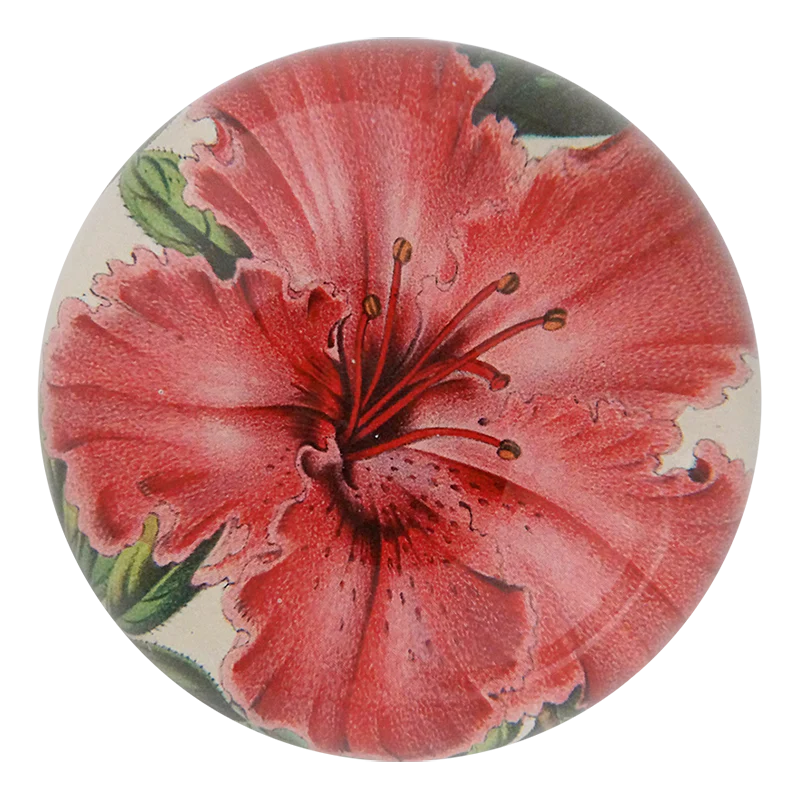 Azalea Indica