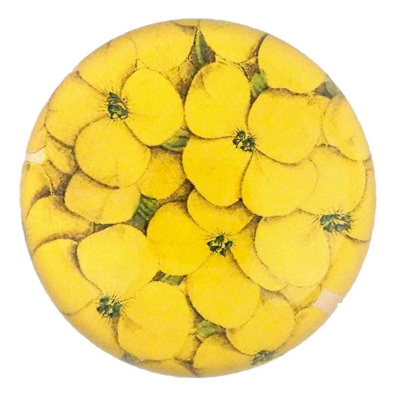 Chrysanthus Flower