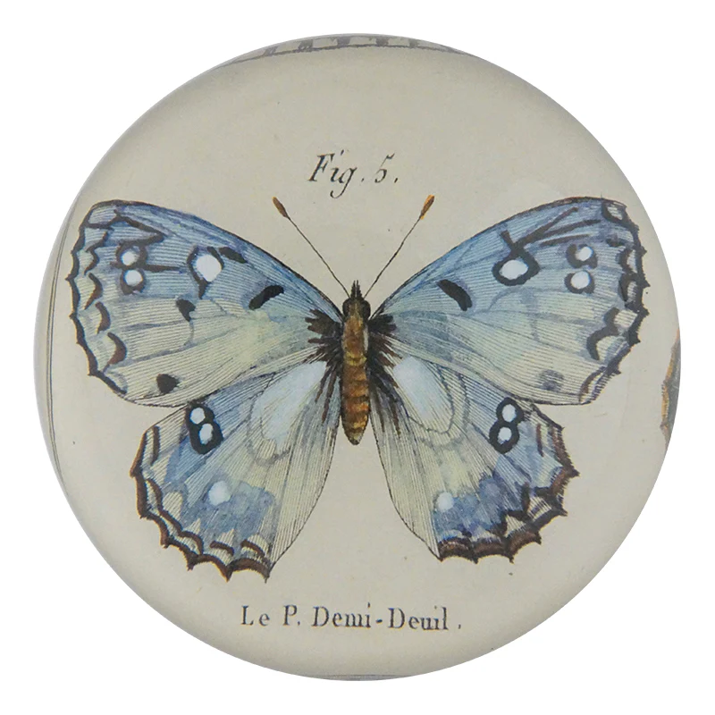 Fig. 5 Butterfly