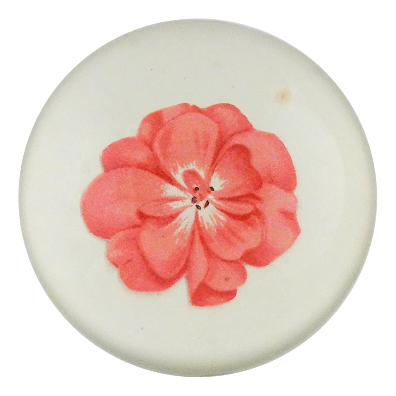 Geranium Fleuret 2