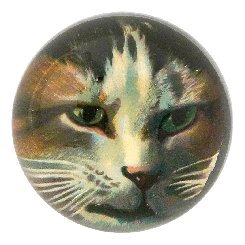 Jack Cat