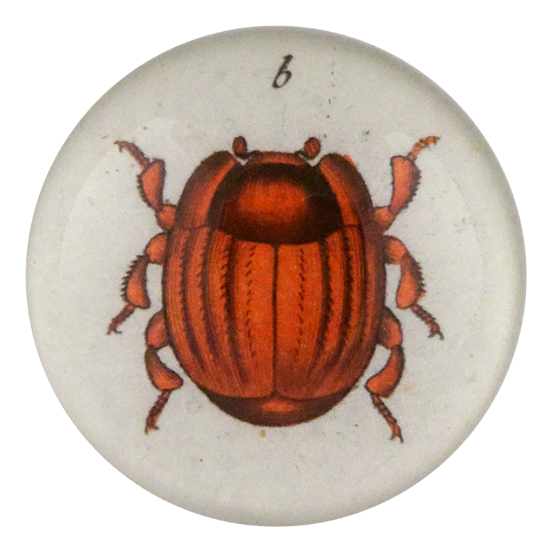 Kugelann