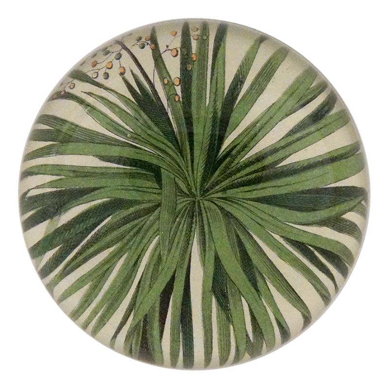 Palm Detail
