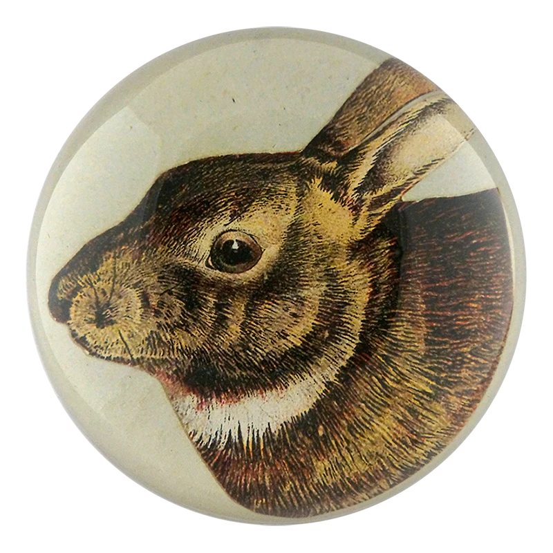 Scrapbook Hare