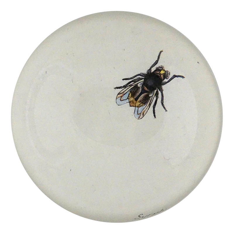 The Fly