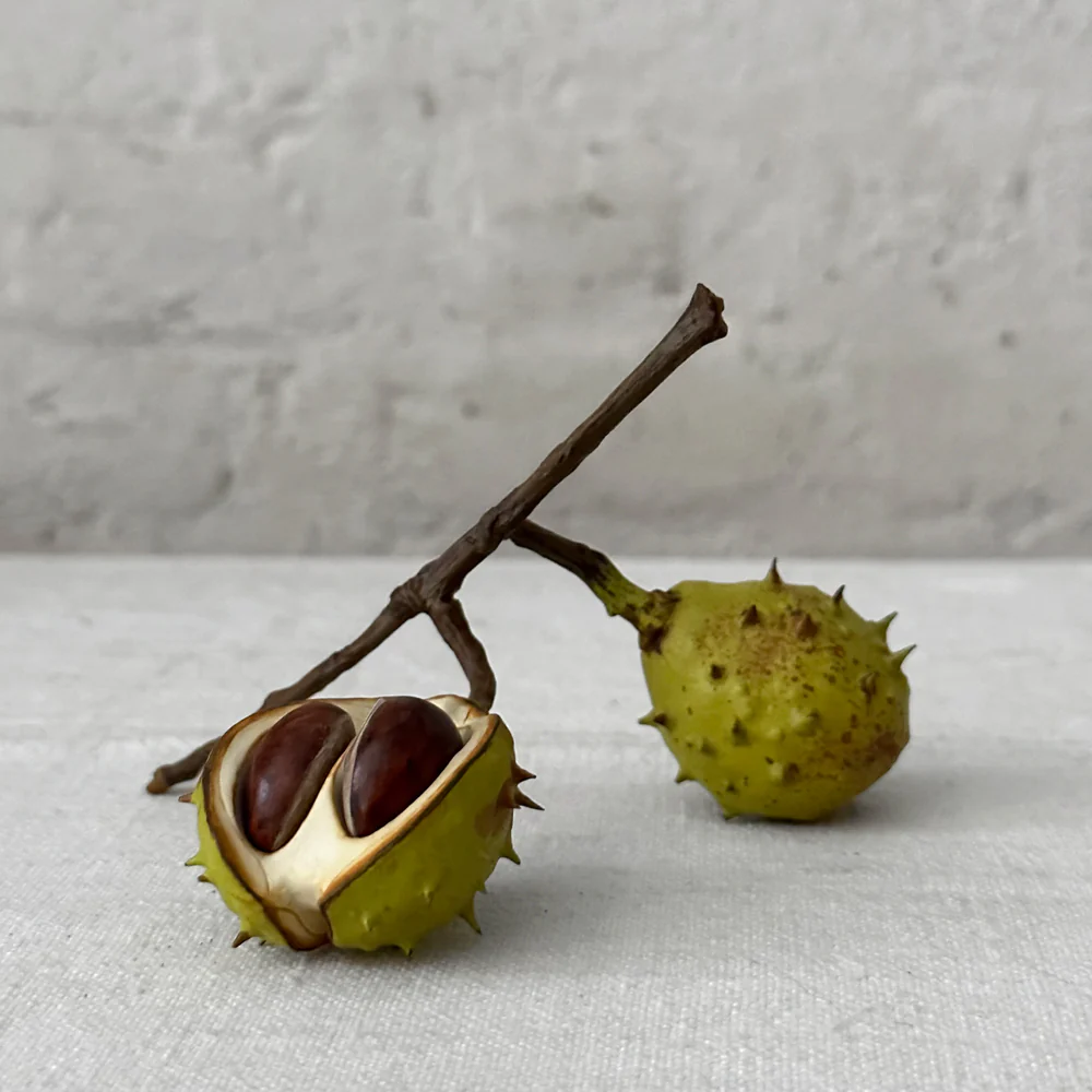 Double baby Porcelain Horse Chestnut with Removable Horse Chestnuts and Lid